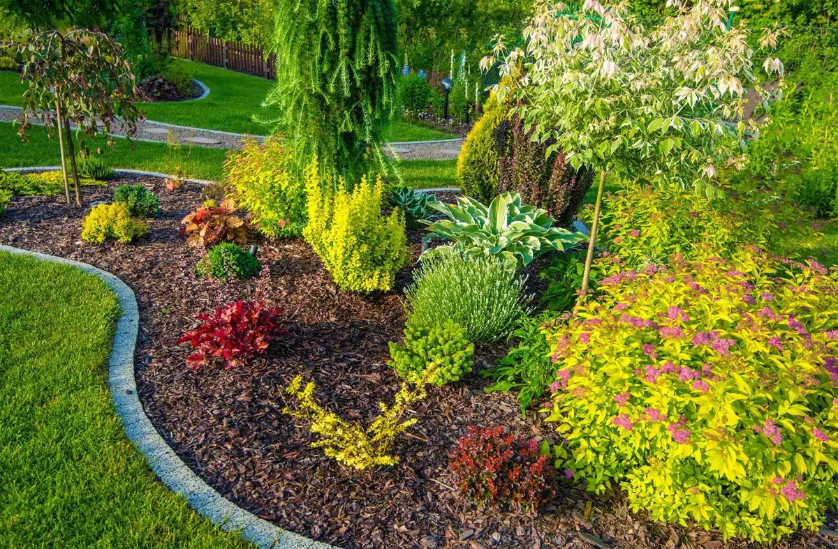 Landscaped garden