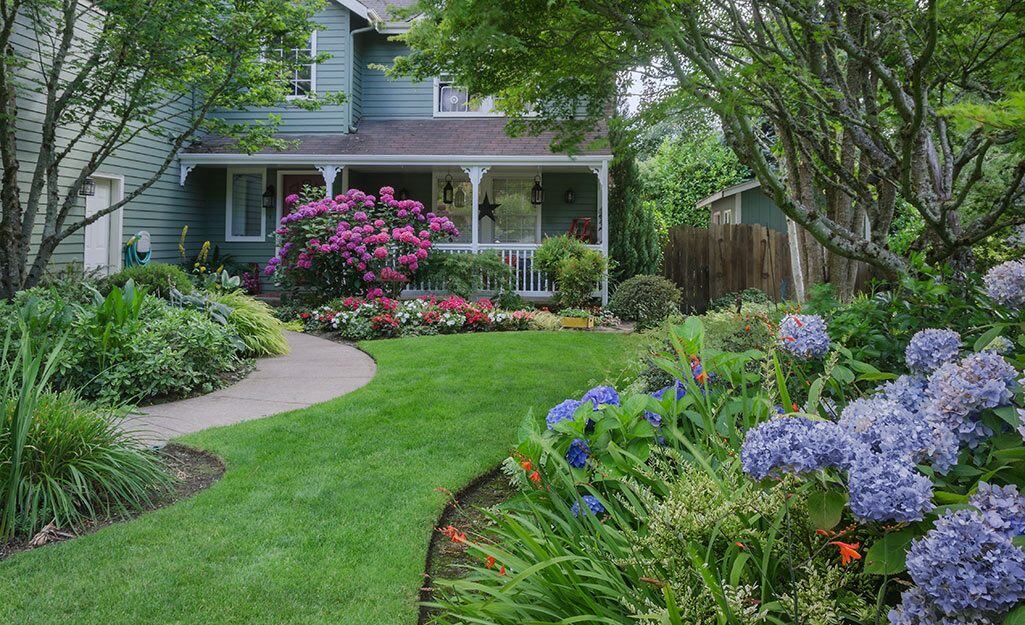 Finished front yard